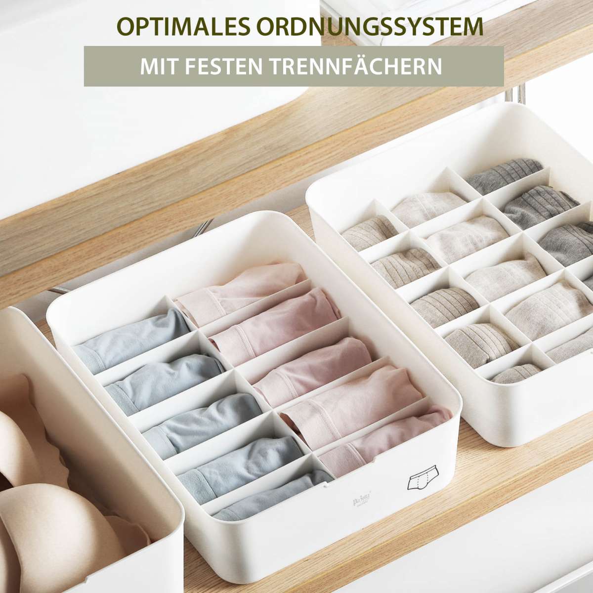 Unterwsche Organizer Deckel Aufbewahrungsbox Ordnungssystem Schrank  Schublade | Plazotta Lifestyle
